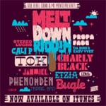 Meltdown Riddim Soul Rebel Records